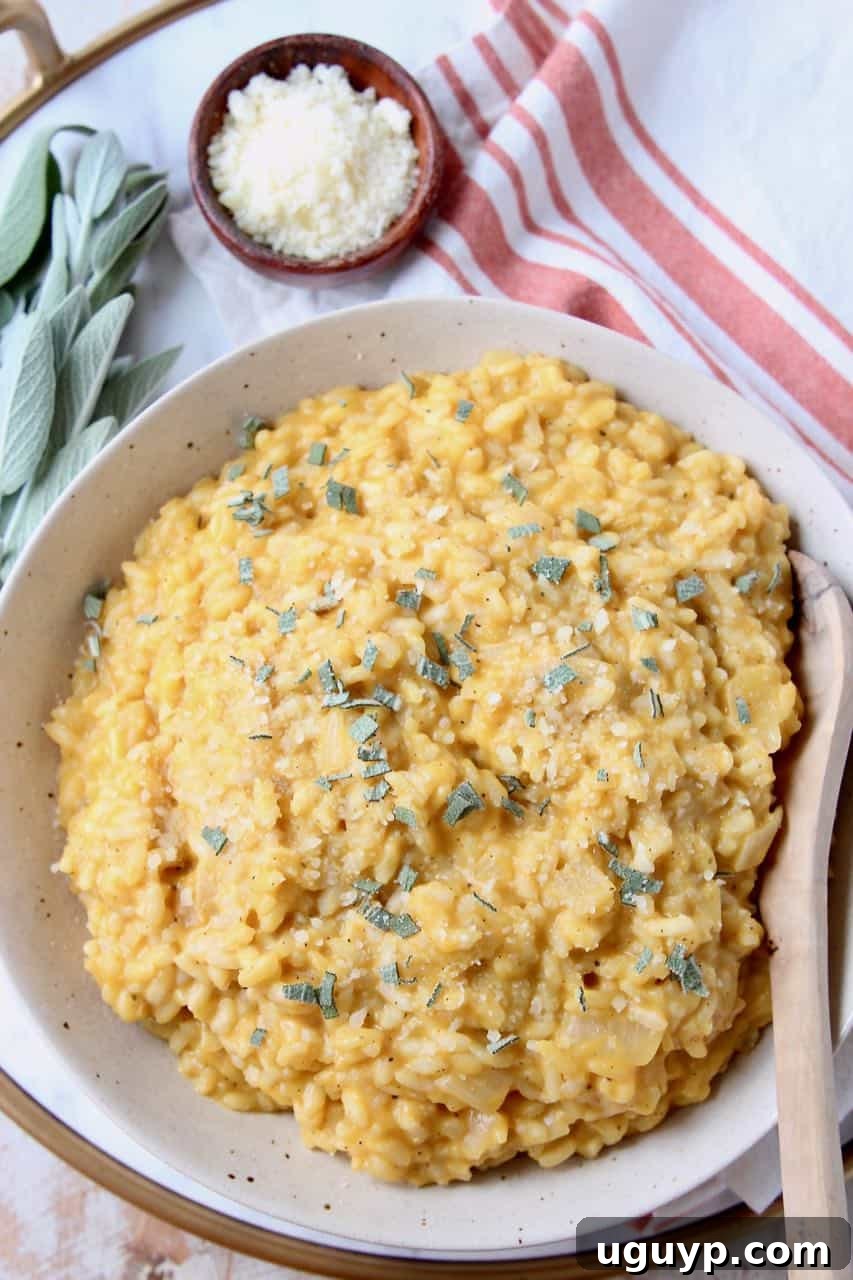 Butternut squash risotto with fresh sage garnish in a deep bowl