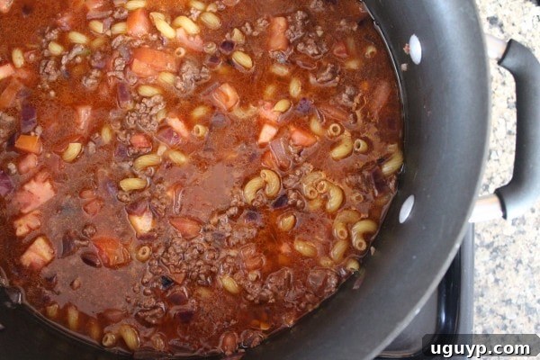 The one-pot dish, now filled with ground beef, macaroni noodles, diced tomatoes, and broth, simmering gently on the stove to create a hearty and easy meal.