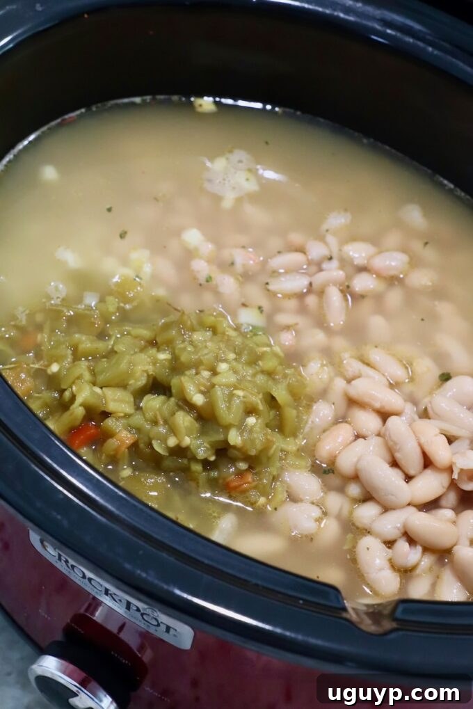 green chilies and beans in crock pot with chicken broth