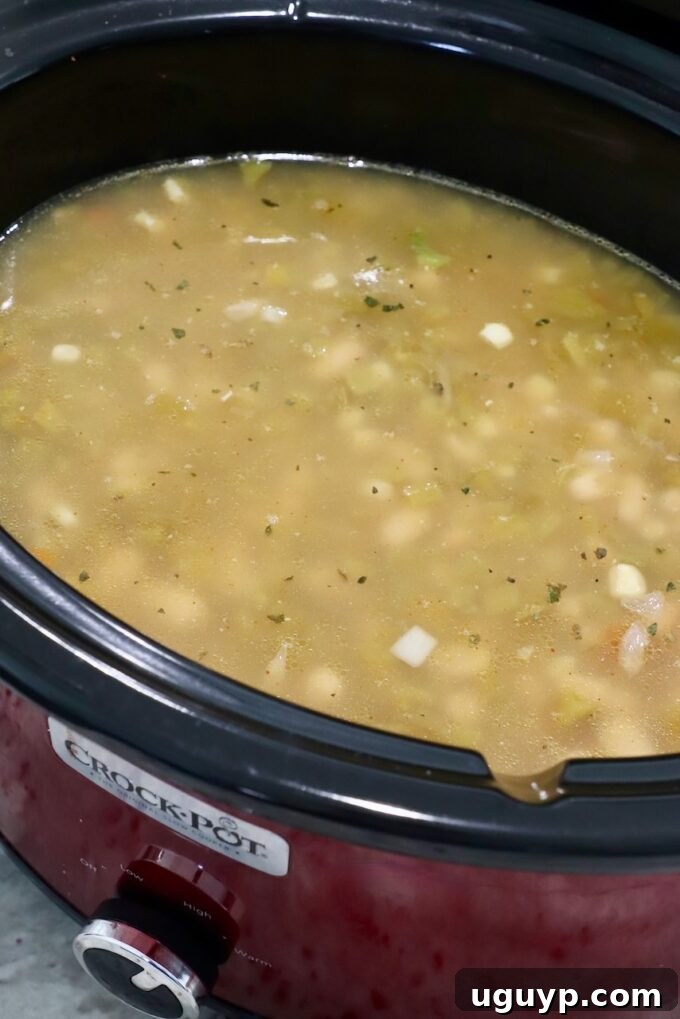 white chicken chili in crock pot