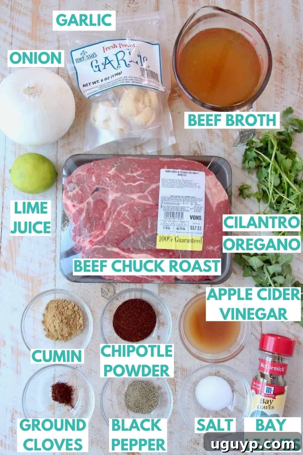 A vibrant flat lay of all the fresh ingredients for homemade beef barbacoa including onions, garlic, spices, beef broth, and a chuck roast.