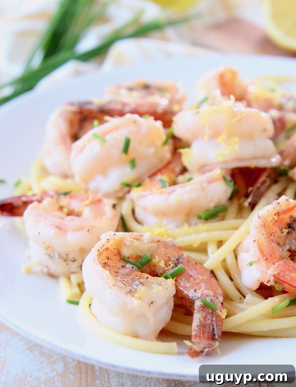 Golden-brown shrimp scampi generously piled on a bed of bucatini pasta, garnished with fresh herbs and lemon wedges, presented on a pristine white plate.
