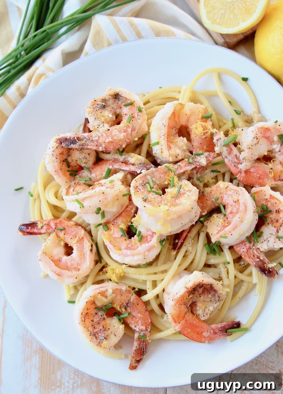 Overhead shot of a white plate filled with perfectly cooked shrimp scampi on a bed of pasta, showcasing the vibrant colors and rich sauce.