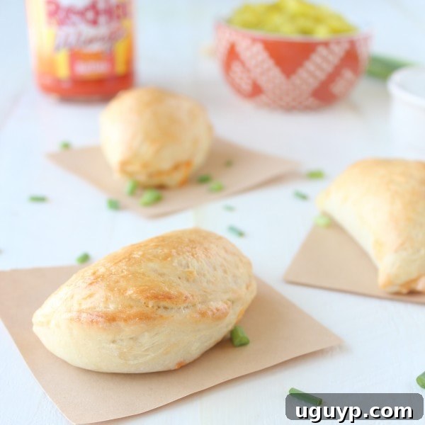 Buffalo Chicken Mini Calzones Recipe