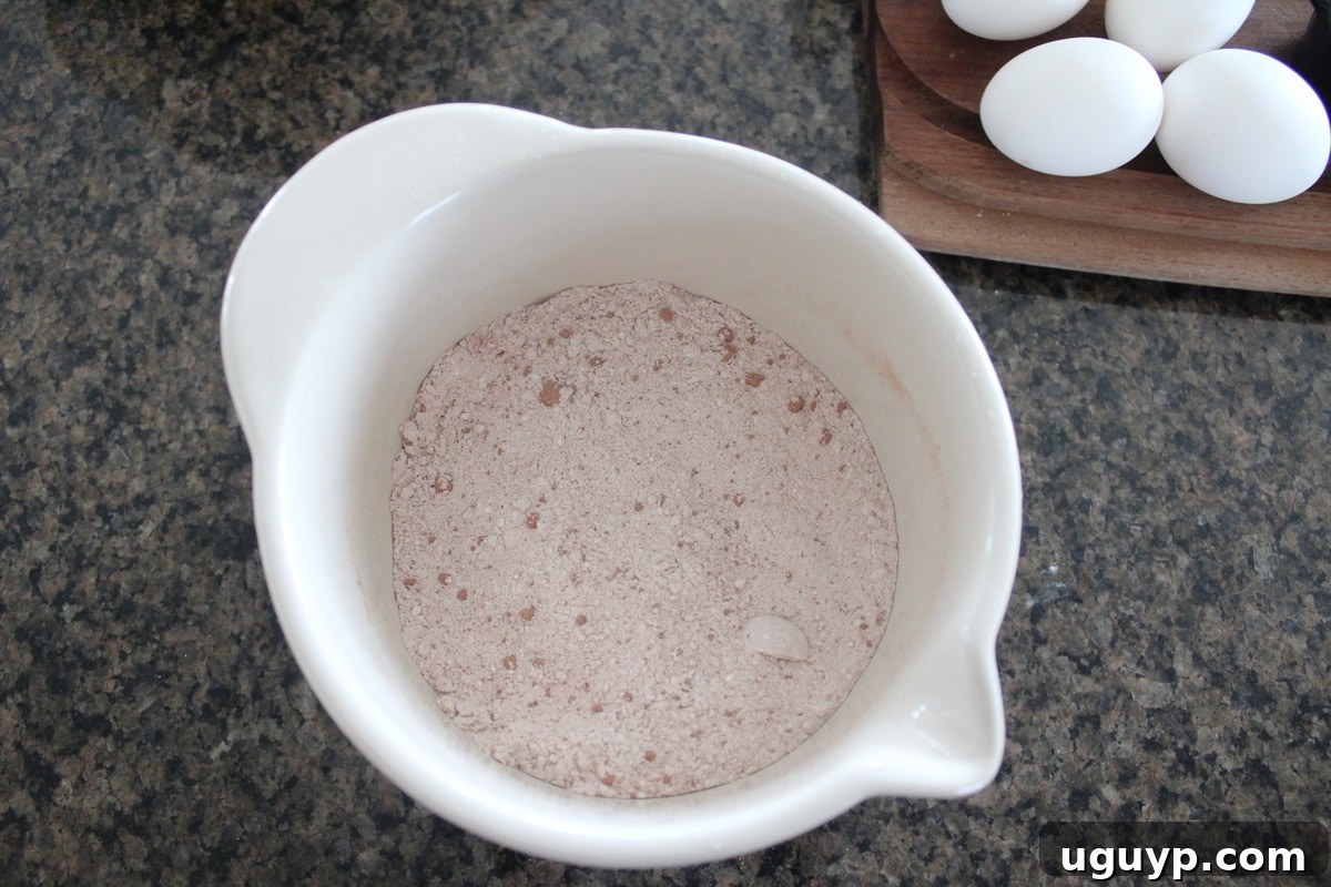 Cocoa powder, flour, salt, and baking powder mixed together in a small white bowl.