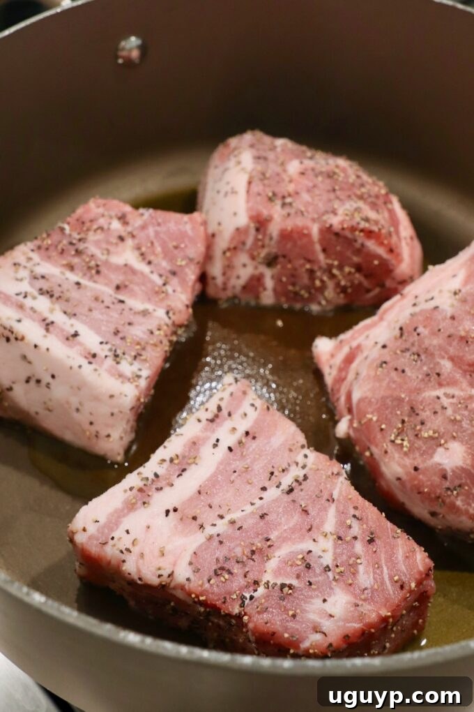 large pieces of pork shoulder in pot on stove