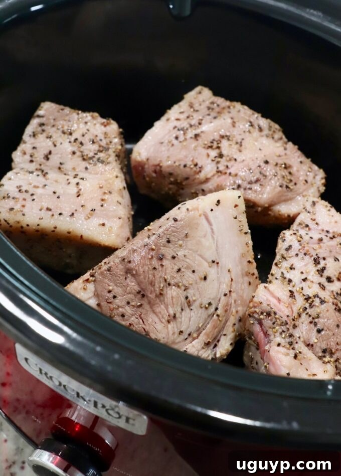 seared pork shoulder pieces in Crock Pot