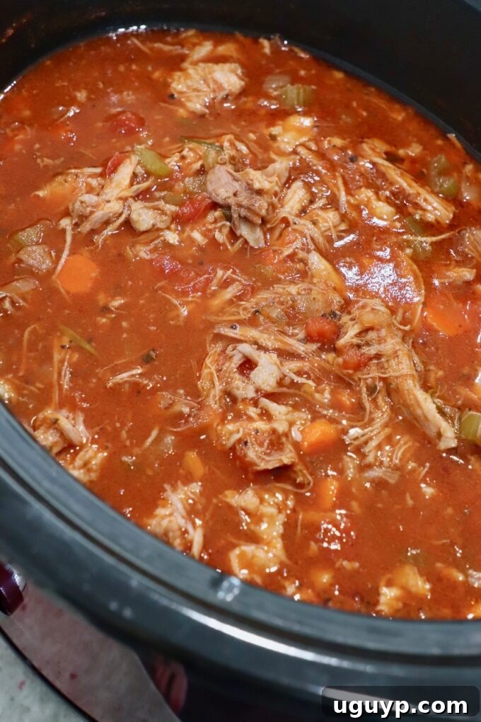 shredded pork ragu sauce in crock pot