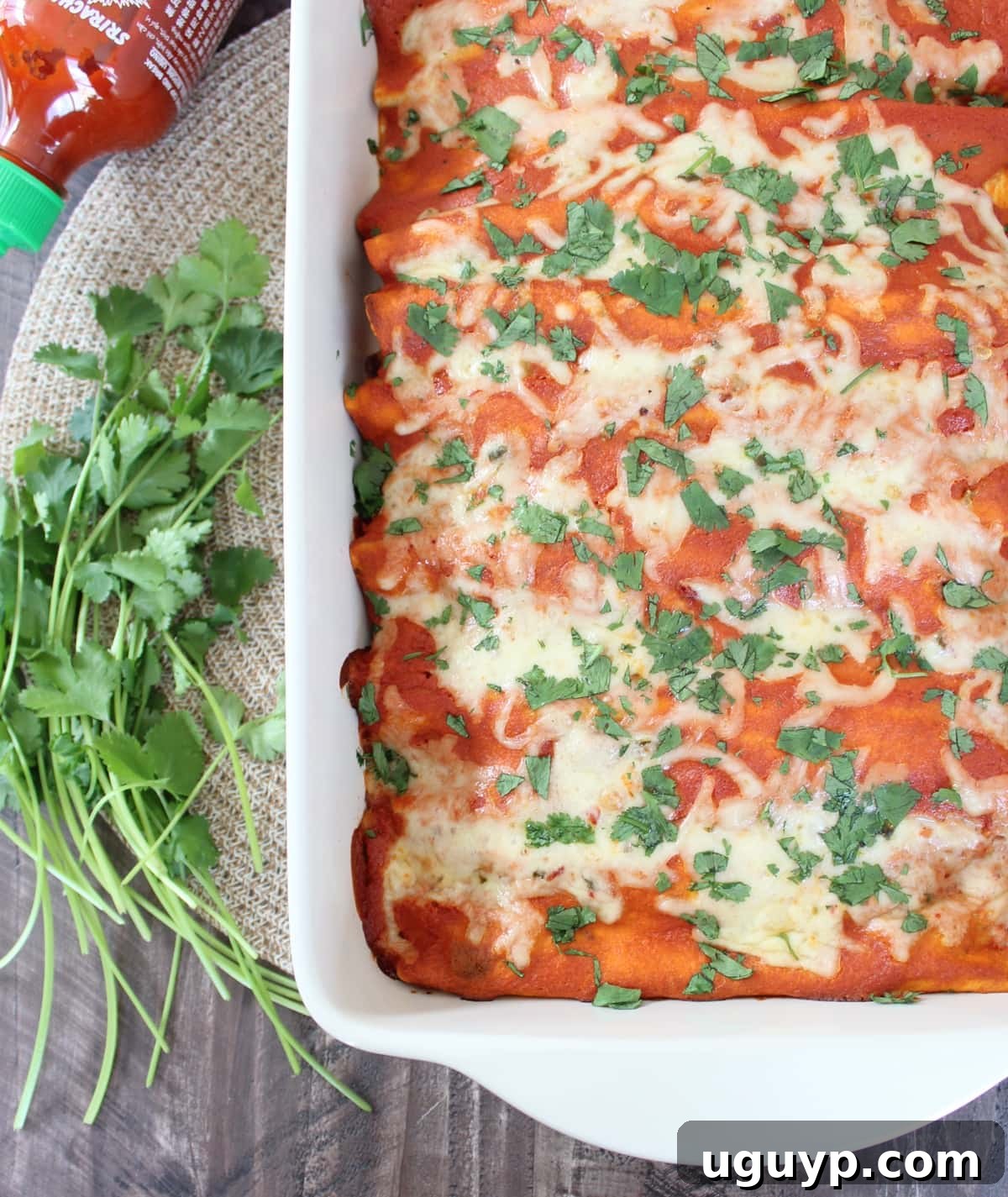 enchiladas in a baking dish topped with fresh chopped cilantro