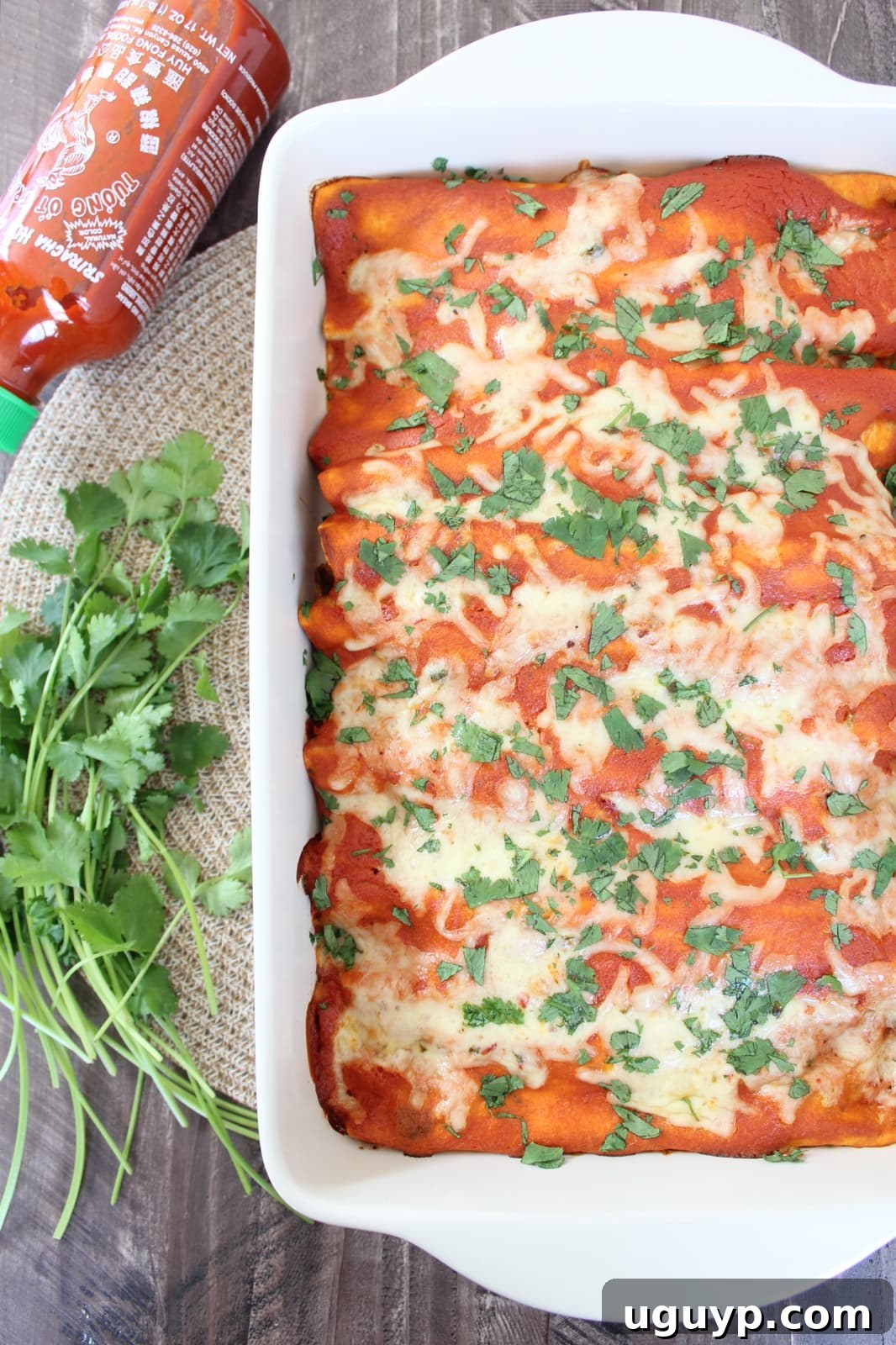 enchiladas in a baking dish with fresh cilantro