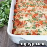 Creamy Sriracha Beef Enchiladas Recipe with Melted Cheese and Cilantro in baking dish