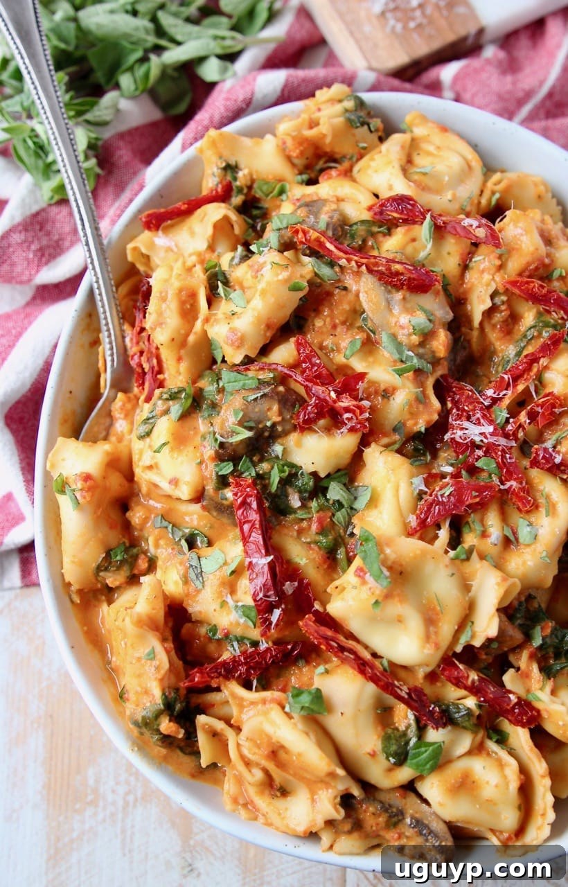 Creamy pesto tortellini with sun-dried tomatoes and fresh basil in a bowl with a spoon, highlighting its vibrant colors and rich texture.