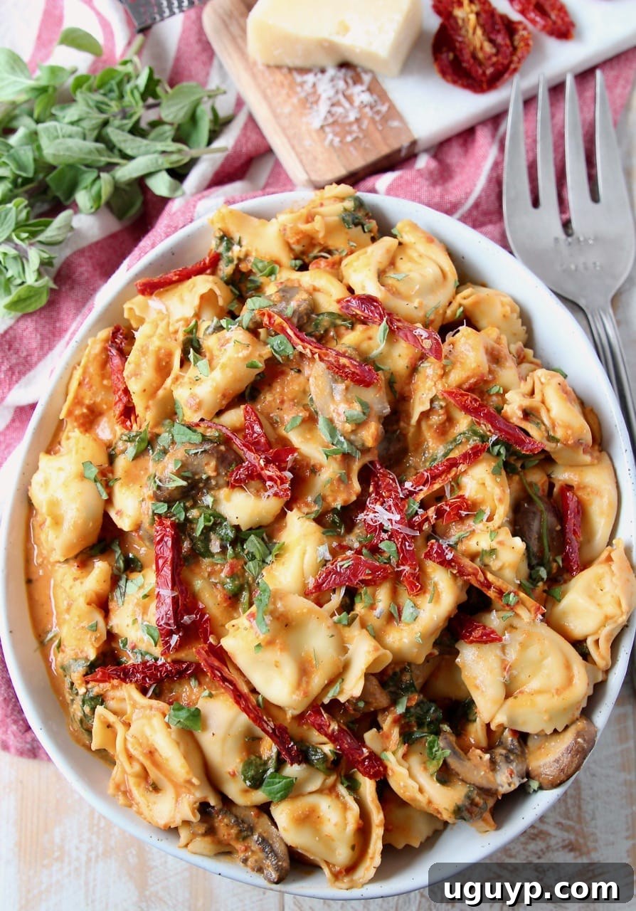 Close-up of tortellini in a creamy sun-dried tomato pesto sauce, garnished with sun-dried tomatoes, with a large fork resting nearby.