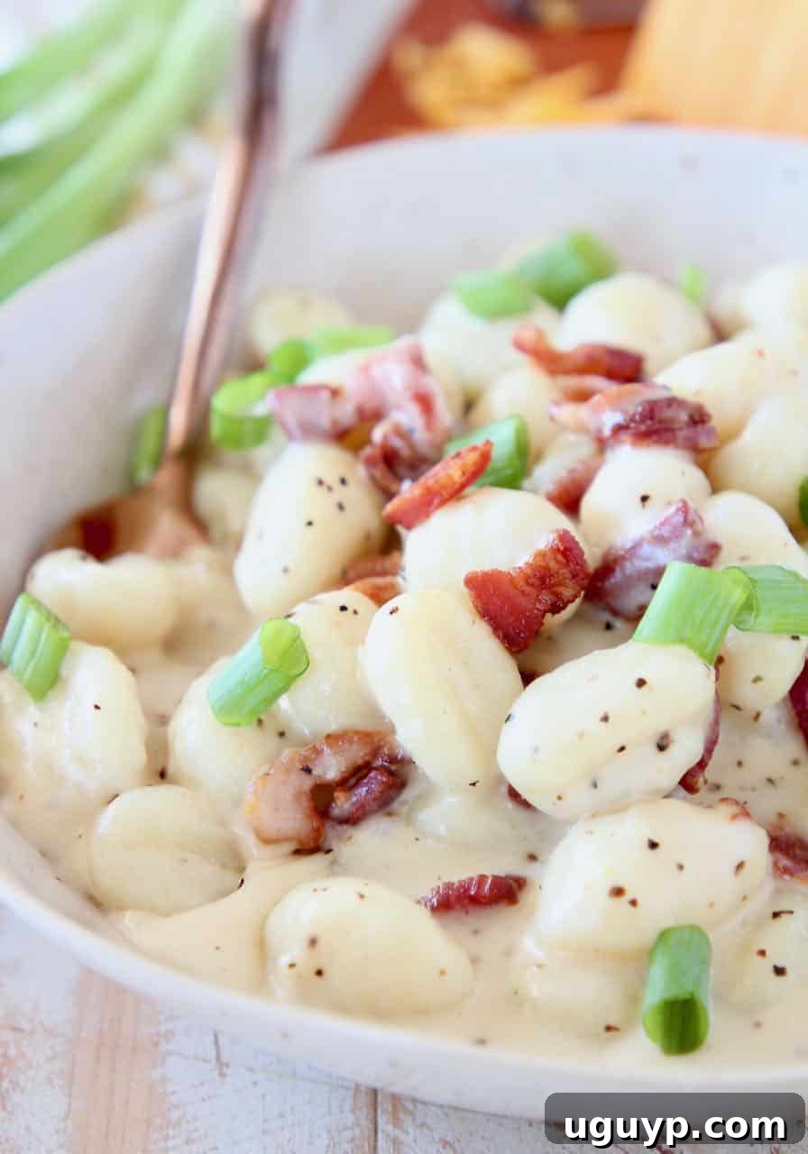 Creamy gnocchi in bowl with spoon