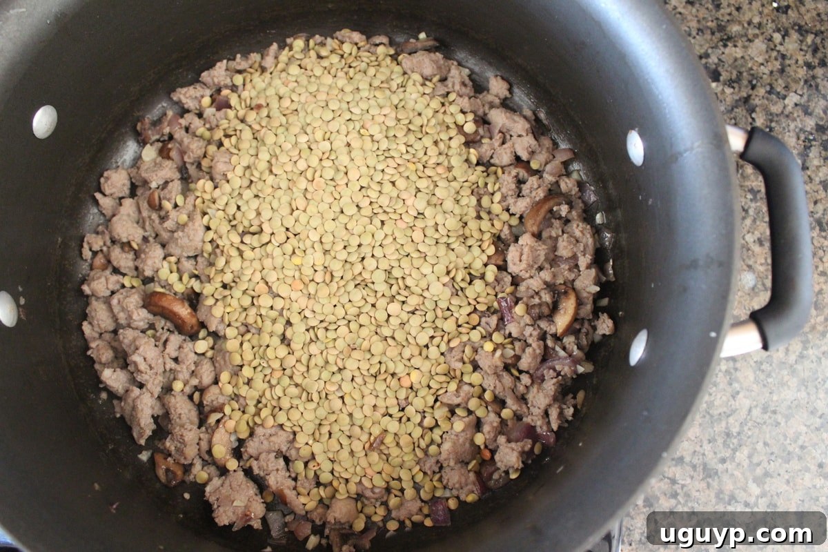 Close-up of One-Pot Mediterranean Sausage & Lentils
