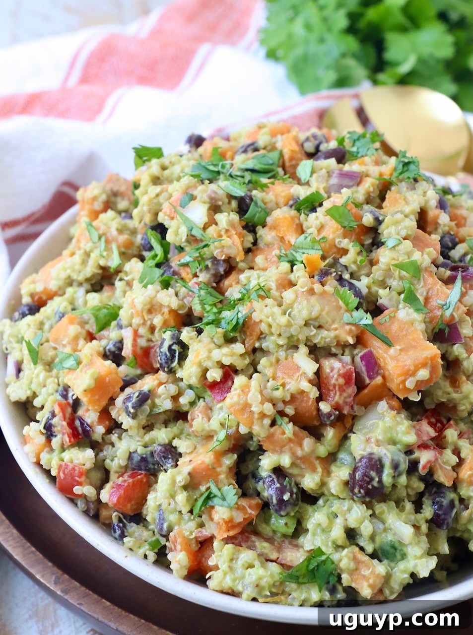 Mexican sweet potato salad in a large serving bowl, garnished with cilantro