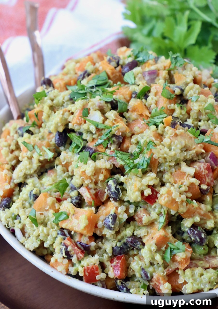 Mexican sweet potato salad with quinoa and black beans in a bowl, served with two forks