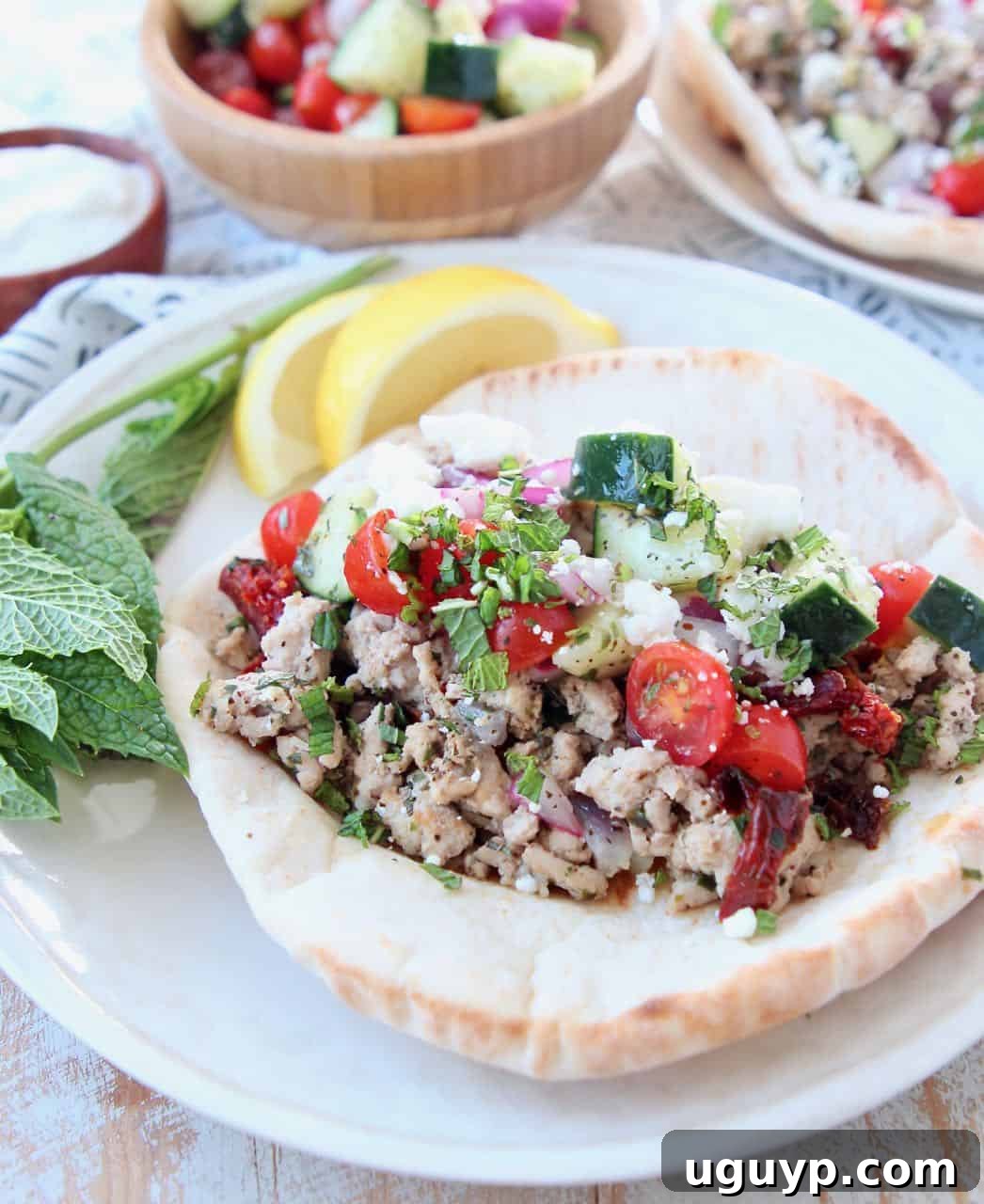 Gyro on plate with ground turkey meat and tomato cucumber salsa
