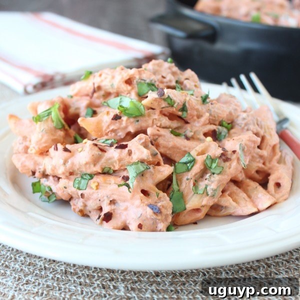 Plated Italian Sausage Pasta in Four Cheese Tomato Sauce