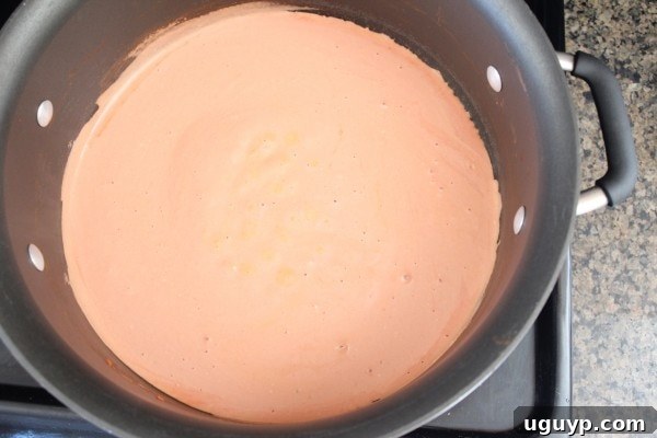 Melting cream cheese, tomato sauce, and broth for the pasta sauce