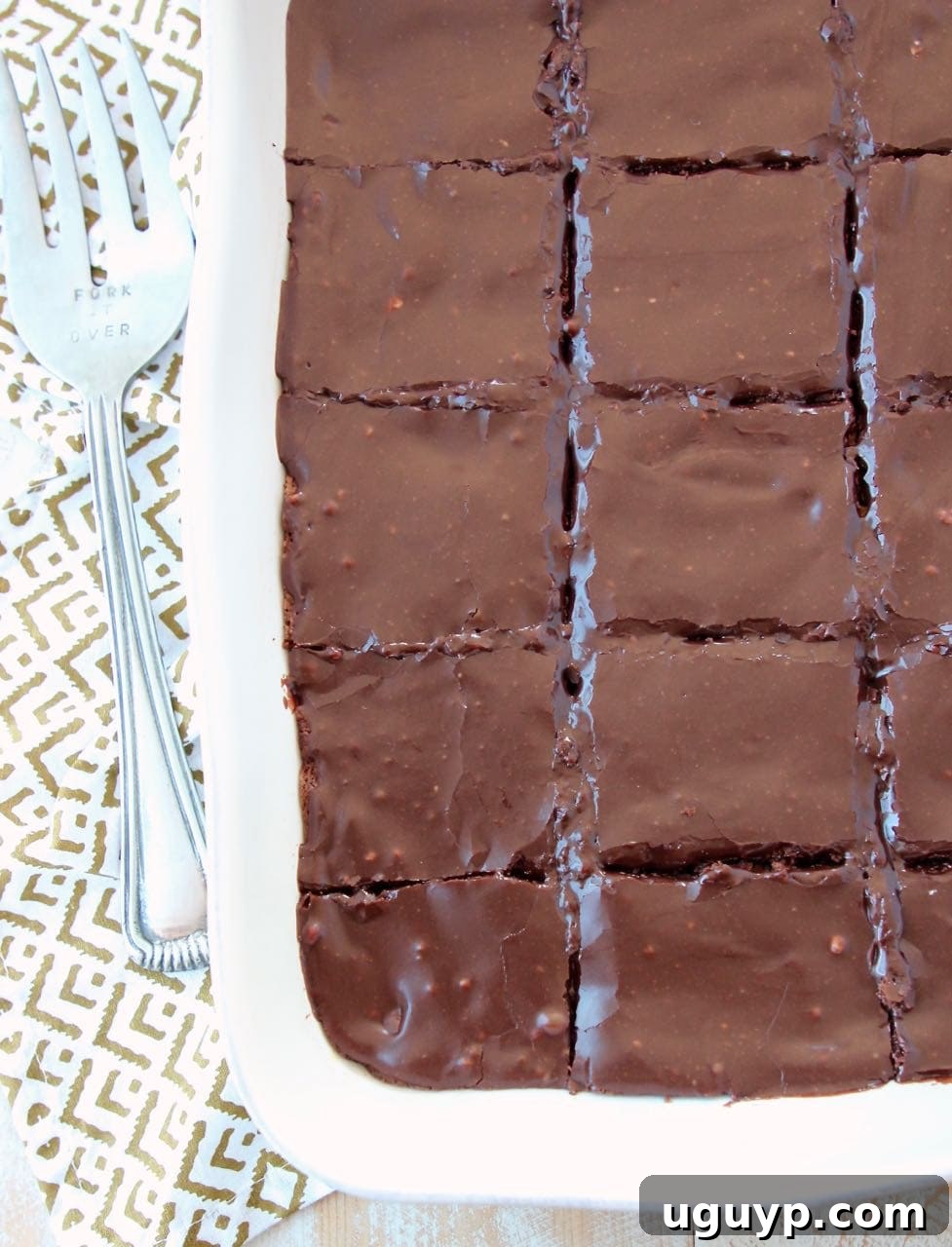 Chocolate brownies in baking dish, sliced into squares