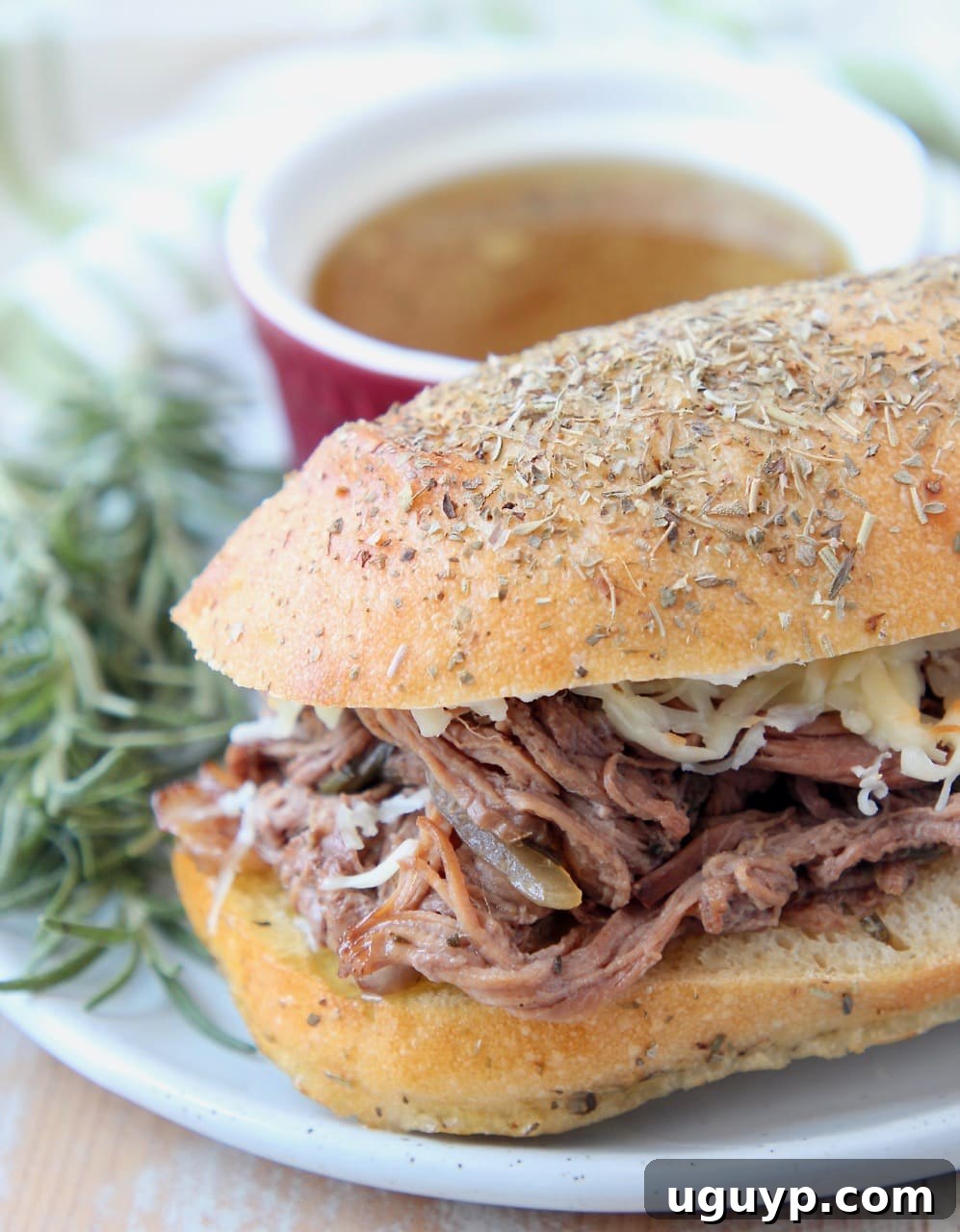 Shredded tri-tip French dip sandwich on a plate, garnished with fresh rosemary, ready to be dipped into a side of au jus.