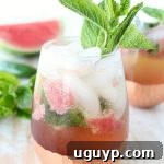 Watermelon Jalapeño Mojito Ready to Serve