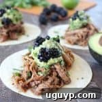 Blackberry Jalapeno Pulled Pork Tacos