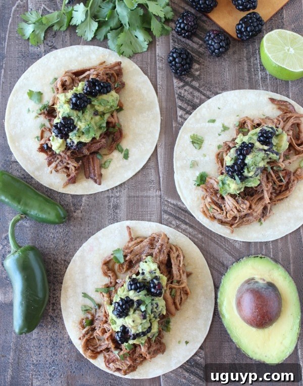 Blackberry Jalapeno Pulled Pork Tacos - Ingredients