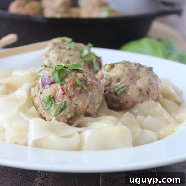 Homemade Asian Lamb Meatballs in Authentic Green Curry Sauce