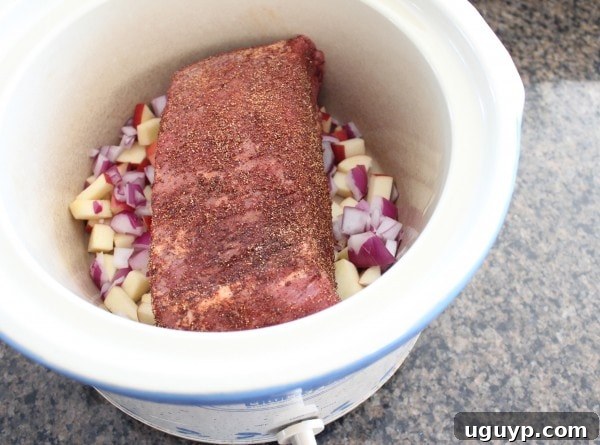 seasoned brisket in a crock pot on top of diced onions and apples