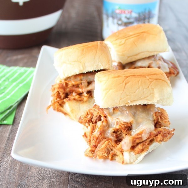 Ingredients for Slow Cooked Chipotle Maple Shredded Chicken Sliders laid out, including a slow cooker, spices, chicken, and maple syrup.