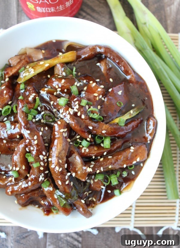 Close-up of a delicious Korean BBQ Beef & Noodle Bowl ready to eat
