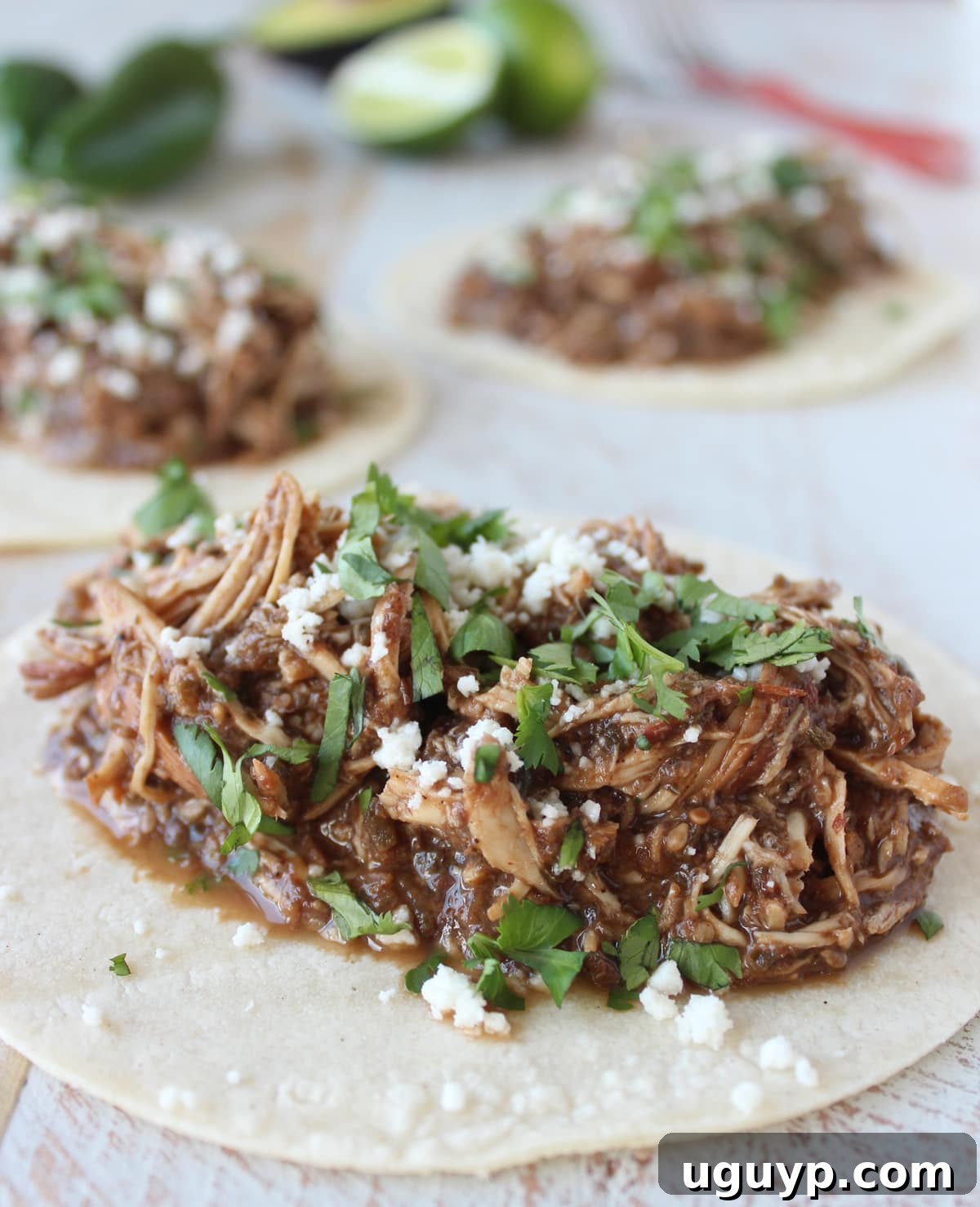 shredded chicken in mole sauce on a tortilla topped with cilantro