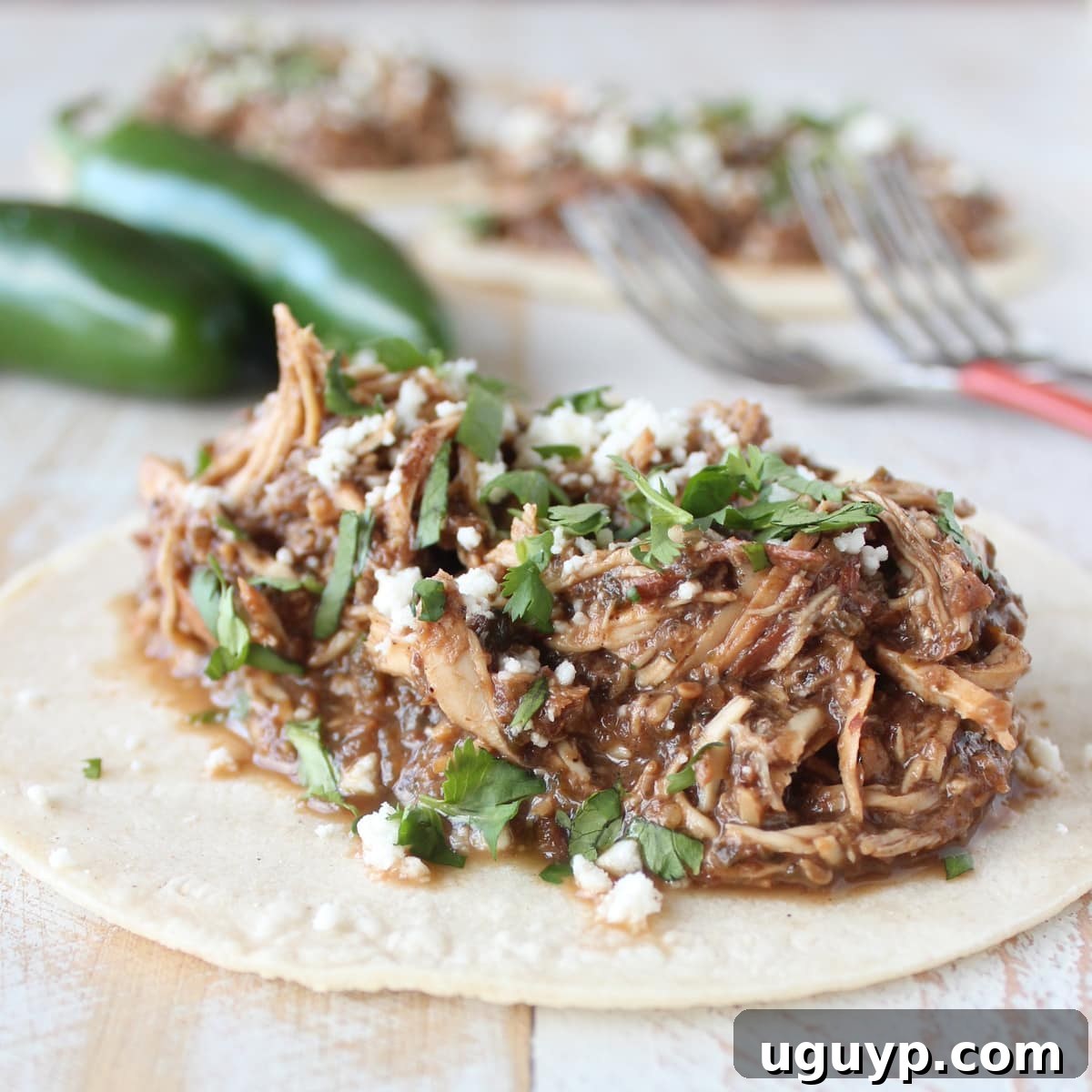 Easy Chicken Mole Taco Recipe