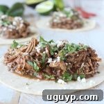 Slow Cooker Chicken Mole Tacos Recipe