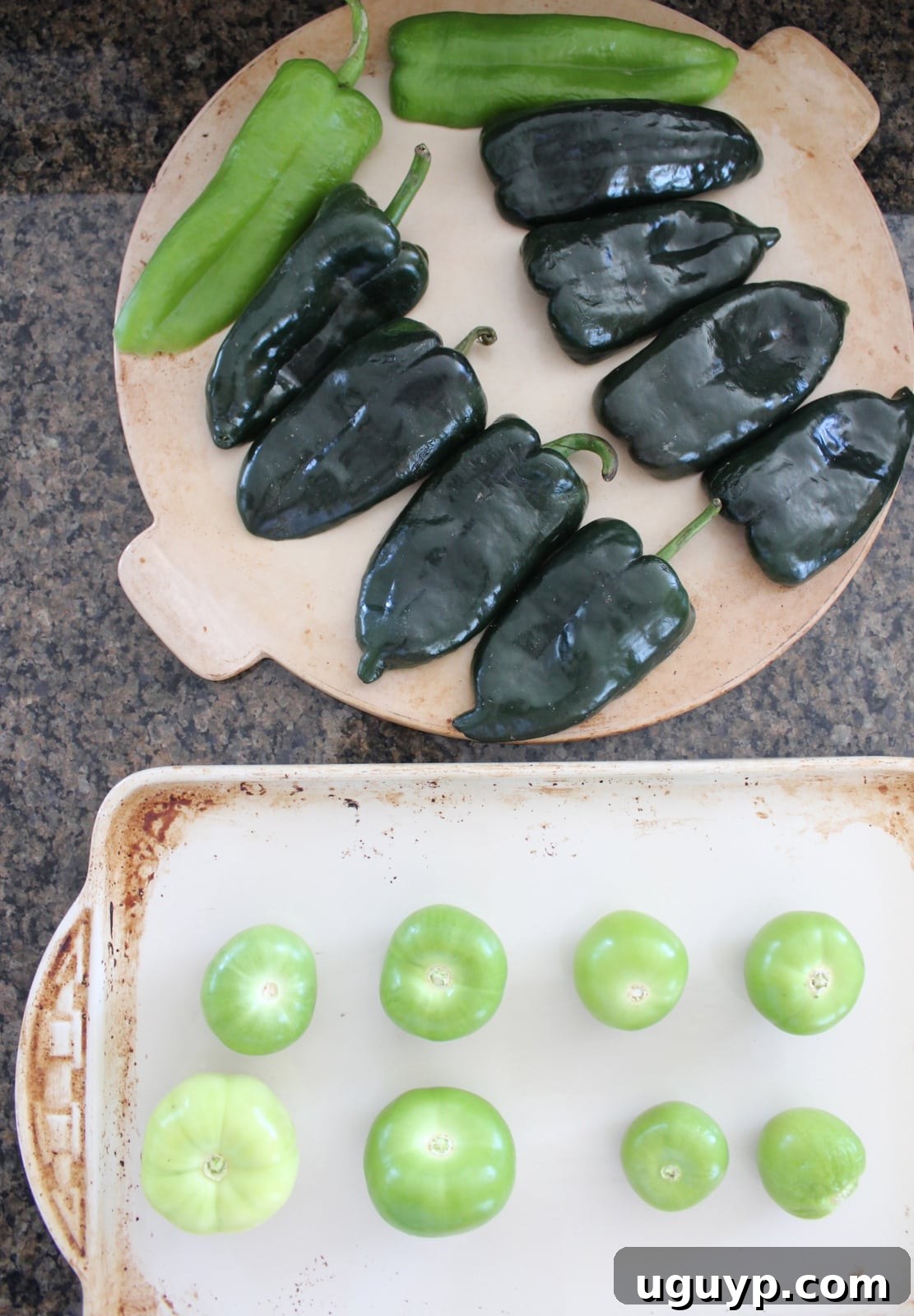 Slow Cooker Chicken Mole Recipe
