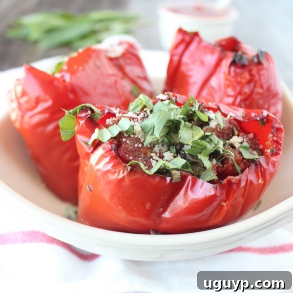 Two Slow Cooker Italian Stuffed Peppers plated, garnished with herbs, and extra sauce