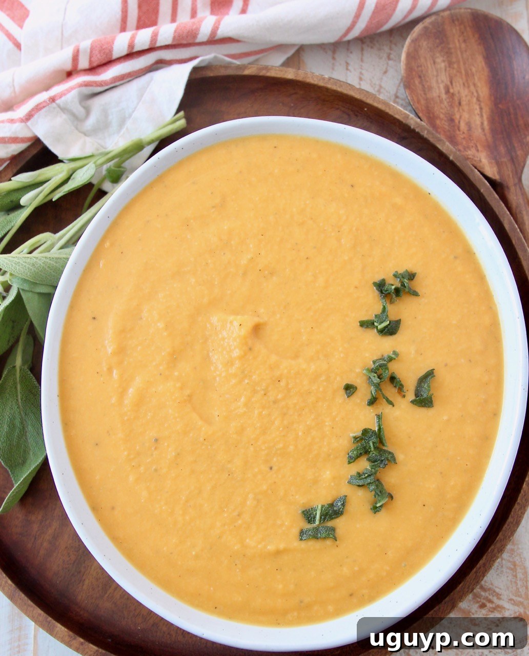 Close-up of creamy vegan butternut squash sauce in a bowl, garnished with a sprig of fresh sage, ready to be served.