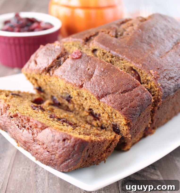 Delicious Cranberry Pumpkin Bread Loaf