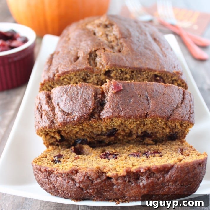 Sliced Cranberry Pumpkin Bread