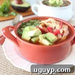 Chipotle Chicken Tortilla Soup with a swirl of cream and fresh cilantro