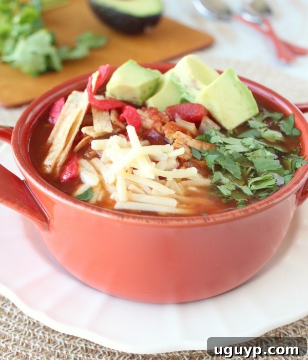 Slow Cooker Chipotle Chicken Tortilla Soup ready to be served
