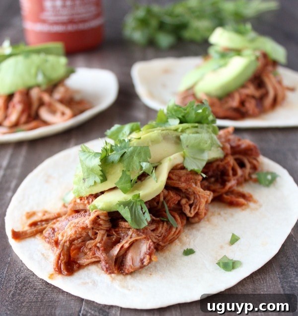 A delicious Sriracha Honey Pulled Pork Taco ready to be eaten