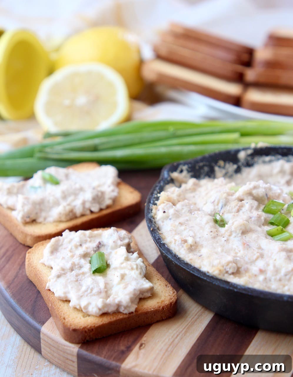 Crab dip spread on crispy brioche toasts, ready to be served