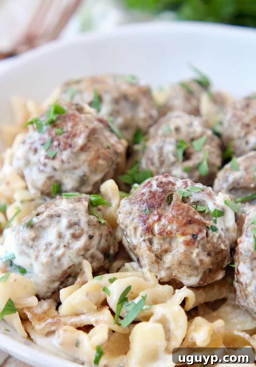 Classic Slow Cooker Swedish Meatballs with Egg Noodles in a Bowl