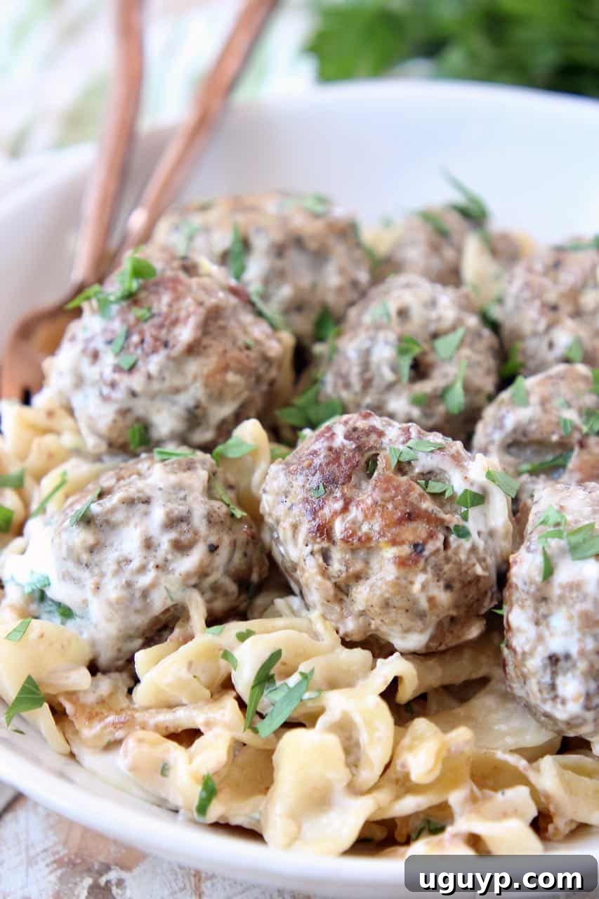 Serving of Slow Cooker Swedish Meatballs with Egg Noodles