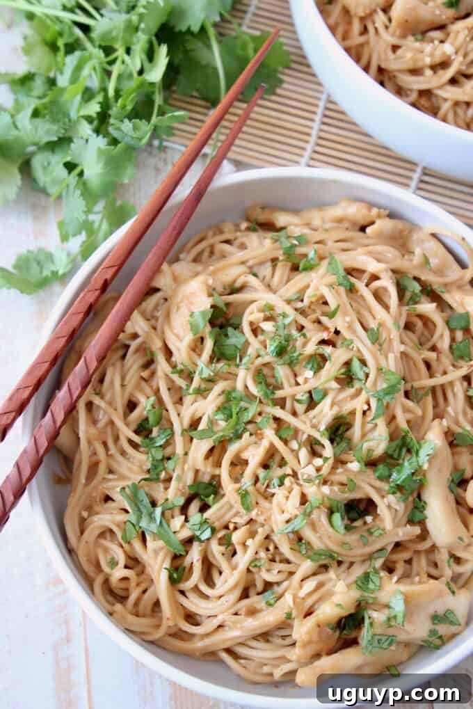 overhead image of noodles in bowl with chopsticks on the side, highlighting the rich, saucy texture of Thai Peanut Chicken Noodles