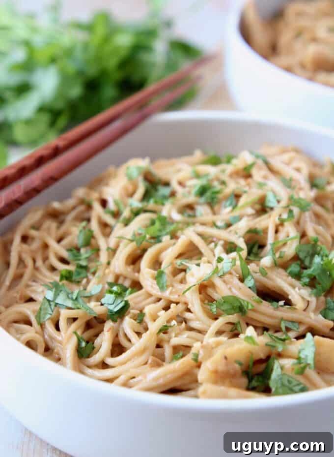 noodles in bowl topped with chopped fresh cilantro and crushed peanuts, ready to eat