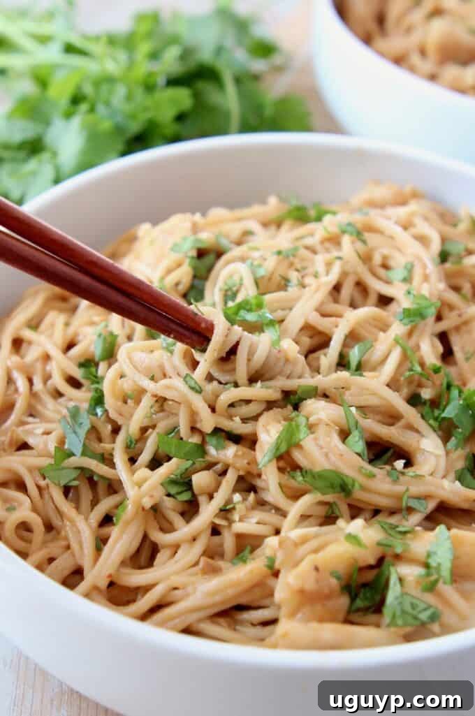 chopsticks swirling noodles in bowl, showing off the perfectly coated chicken and noodles